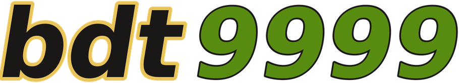 bdt9999 logo